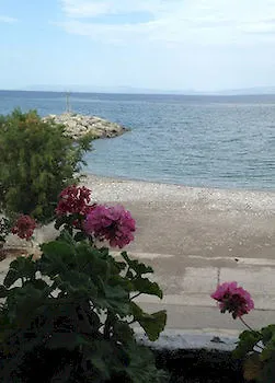 Moireas Kalamata